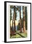 Lake Itasca, Minnesota-null-Framed Art Print