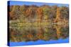 Lake Jacomo Fall Colors, Fleming Park, Kansas City, Missouri, USA-Charles Gurche-Stretched Canvas