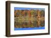 Lake Jacomo Fall Colors, Fleming Park, Kansas City, Missouri, USA-Charles Gurche-Framed Photographic Print