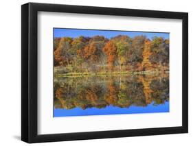 Lake Jacomo Fall Colors, Fleming Park, Kansas City, Missouri, USA-Charles Gurche-Framed Photographic Print