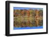 Lake Jacomo Fall Colors, Fleming Park, Kansas City, Missouri, USA-Charles Gurche-Framed Photographic Print