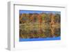 Lake Jacomo Fall Colors, Fleming Park, Kansas City, Missouri, USA-Charles Gurche-Framed Photographic Print