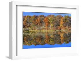 Lake Jacomo Fall Colors, Fleming Park, Kansas City, Missouri, USA-Charles Gurche-Framed Photographic Print