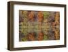 Lake Jacomo Fall Colors, Fleming Park, Kansas City, Missouri, USA-Charles Gurche-Framed Photographic Print