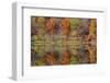 Lake Jacomo Fall Colors, Fleming Park, Kansas City, Missouri, USA-Charles Gurche-Framed Photographic Print