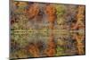 Lake Jacomo Fall Colors, Fleming Park, Kansas City, Missouri, USA-Charles Gurche-Mounted Photographic Print