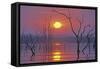Lake Kariba Sunset over Drowned Trees-null-Framed Stretched Canvas