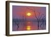 Lake Kariba Sunset over Drowned Trees-null-Framed Photographic Print