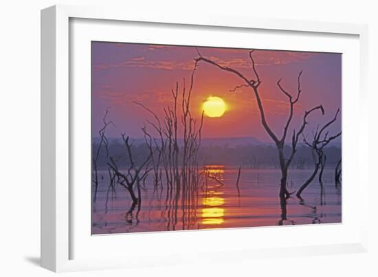 Lake Kariba Sunset over Drowned Trees-null-Framed Photographic Print