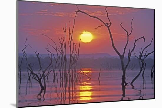 Lake Kariba Sunset over Drowned Trees-null-Mounted Photographic Print