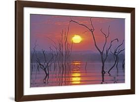 Lake Kariba Sunset over Drowned Trees-null-Framed Photographic Print