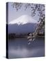 Lake Kawaguchi, Mount Fuji, Japan-null-Stretched Canvas