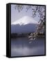 Lake Kawaguchi, Mount Fuji, Japan-null-Framed Stretched Canvas