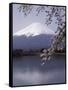 Lake Kawaguchi, Mount Fuji, Japan-null-Framed Stretched Canvas