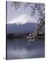 Lake Kawaguchi, Mount Fuji, Japan-null-Stretched Canvas