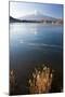 Lake Kawaguchi, Mount Fuji, Japan-Peter Adams-Mounted Photographic Print