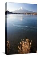 Lake Kawaguchi, Mount Fuji, Japan-Peter Adams-Stretched Canvas