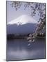 Lake Kawaguchi, Mount Fuji, Japan-null-Mounted Photographic Print