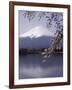 Lake Kawaguchi, Mount Fuji, Japan-null-Framed Photographic Print