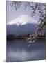 Lake Kawaguchi, Mount Fuji, Japan-null-Mounted Photographic Print