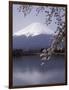 Lake Kawaguchi, Mount Fuji, Japan-null-Framed Photographic Print
