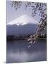 Lake Kawaguchi, Mount Fuji, Japan-null-Mounted Photographic Print