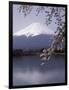 Lake Kawaguchi, Mount Fuji, Japan-null-Framed Photographic Print