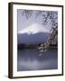 Lake Kawaguchi, Mount Fuji, Japan-null-Framed Photographic Print