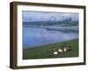 Lake Khovsgol Nuur, Khovsgol, Mongolia, Central Asia-Bruno Morandi-Framed Premium Photographic Print