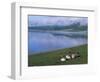 Lake Khovsgol Nuur, Khovsgol, Mongolia, Central Asia-Bruno Morandi-Framed Photographic Print