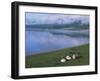 Lake Khovsgol Nuur, Khovsgol, Mongolia, Central Asia-Bruno Morandi-Framed Photographic Print