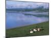 Lake Khovsgol Nuur, Khovsgol, Mongolia, Central Asia-Bruno Morandi-Mounted Photographic Print