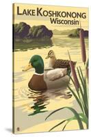 Lake Koshkonong, Wisconsin - Mallard Ducks-Lantern Press-Stretched Canvas