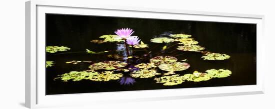 Lake Lilies I-Alan Hausenflock-Framed Premium Giclee Print