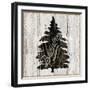 Lake Lodge X Neutral-Sue Schlabach-Framed Art Print