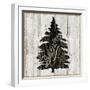 Lake Lodge X Neutral-Sue Schlabach-Framed Art Print