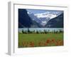 Lake Louise, Banff National Park, UNESCO World Heritage Site, Rocky Mountains, Alberta, Canada-Robert Harding-Framed Photographic Print