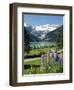 Lake Louise, Banff National Park, UNESCO World Heritage Site, Rocky Mountains, Alberta, Canada-Robert Harding-Framed Photographic Print