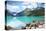 Lake Louise in Banff Natl Park-null-Stretched Canvas