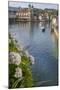 Lake Lucerne, Switzerland. Famous walking bridge and swans in river during the fall season.-Michele Niles-Mounted Photographic Print