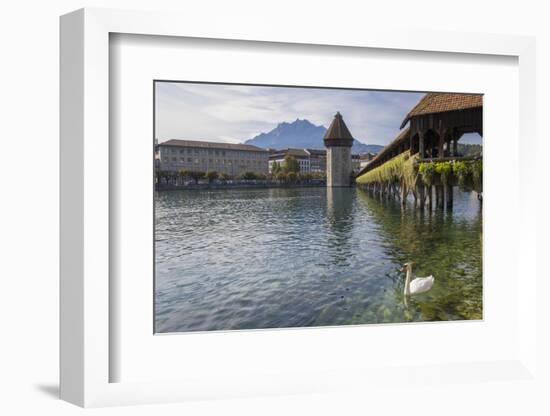 Lake Lucerne, Switzerland. Famous walking bridge and swans in river during the fall season.-Michele Niles-Framed Photographic Print