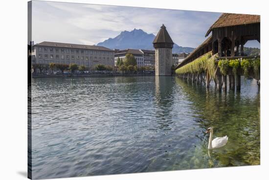 Lake Lucerne, Switzerland. Famous walking bridge and swans in river during the fall season.-Michele Niles-Stretched Canvas