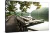 Lake Lure, North Carolina: a Man Goes for a Run Along the Shoreline of Lake Lure-Brad Beck-Stretched Canvas