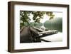 Lake Lure, North Carolina: a Man Goes for a Run Along the Shoreline of Lake Lure-Brad Beck-Framed Photographic Print