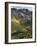 Lake Mackenzie on the Routeburn Track, Fiordland National Park, South Island, New Zealand-Kober Christian-Framed Photographic Print