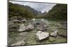 Lake Mackenzie, Routeburn Track, Fiordland National Park, South Island, New Zealand, Pacific-Stuart Black-Mounted Photographic Print