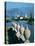 Lake Maggiore, Isola Superior Dei Pescatori, Italy-Peter Thompson-Stretched Canvas