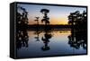 Lake Martin at Sunset with Bald Cypress Sihouette, Louisiana, USA-Alison Jones-Framed Stretched Canvas