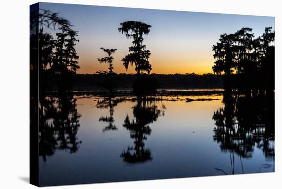 Lake Martin at Sunset with Bald Cypress Sihouette, Louisiana, USA-Alison Jones-Stretched Canvas
