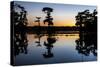 Lake Martin at Sunset with Bald Cypress Sihouette, Louisiana, USA-Alison Jones-Stretched Canvas